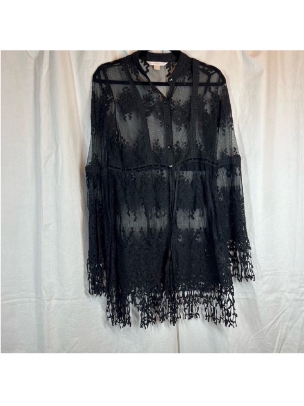 Boston proper whimsygoth lace embroidered sheer tunic top